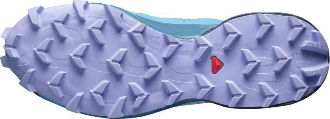 Salomon SPEEDCROSS 5 GTX W, Delphinium