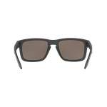 Oakley HOLBROOK STEEL, PRIZM DAILY POLARIZED