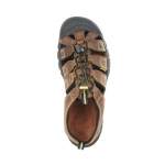 Keen Newport M, Bison