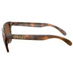 Oakley FROGSKINS RANGE BRN TORT/BRN SMK, PRIZM TUNGSTEN