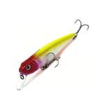 Fishycat TOMCAT 67SP-SR / R21
