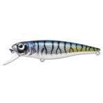Fishycat TOMCAT 80SP-SR / R11