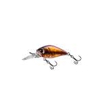 Fishycat icat 32F-DR / R20