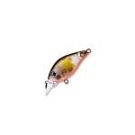 Fishycat icat 32F-SR / R18