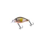 Fishycat icat 32F-SR / R18