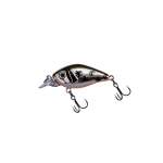 Fishycat icat 32F-SR / X06