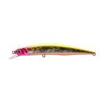 Fishycat LIBYCA 110SP / R21