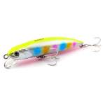 Fishycat TIGERCUB 170F / R26
