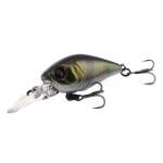 Fishycat icat 32F-DR / R29