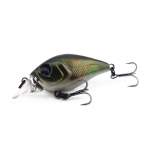 Fishycat icat 32F-SR / R29
