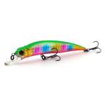 Fishycat LIBYCA 90SP / R27