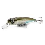 Fishycat TOMCAT 80SP-SR / R09