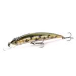 Fishycat LIBYCA 90SP / X06