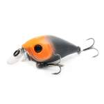 Fishycat icat 32F-SR / X12