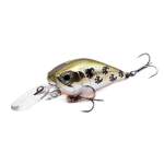 Fishycat icat 32F-DR / X06