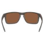 Oakley HOLBROOK XXL WOODGRAIN, PRIZM TUNGSTEN POLAR