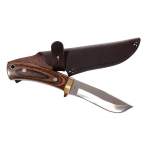 Zest Splendor 700 T1 Japan