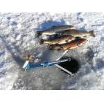 Подставка-жерлица JawJacker