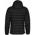 Arcteryx CERIUM LT HOODY MEN'S, Black