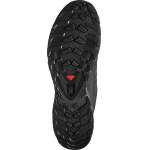 Salomon XA  WILD GTX, Black