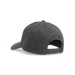 Simms Dad Cap, Carbon