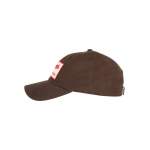 Simms Fish It Well Cap, Hickory