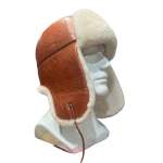 Шапка-ушанка Беркаль Овчина, рыжий-белый