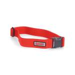 Simms Wading Belt - 2