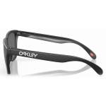 Oakley FROGSKINS MATTE BLACK, PRIZM BLACK POLAR