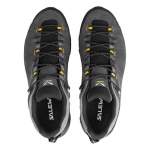 Salewa ALP TRAINER 2 GTX M, Onyx-Black