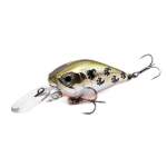 Fishycat icat 32F-DR / X06