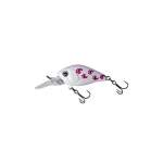 Fishycat icat 32F-DR / X10