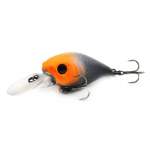 Fishycat icat 32F-DR / X12