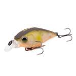 Fishycat icat 32F-SR / R18