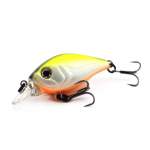 Fishycat icat 32F-SR / R23