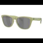 Oakley FROGSKINS MATTE FERN, PRIZM BLACK POLAR