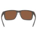 Oakley HOLBROOK XXL WOODGRAIN, PRIZM TUNGSTEN POLAR