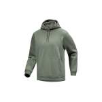 Толстовка Arcteryx EMBLEM FLEECE HOODY, Forage