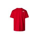 The North Face Tee Expedition System Graphic, Red