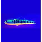 Halcyon System N Shico 96 BM Fin 20g #spinningart 16