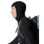 Arcteryx DELTA HOODY MEN'S, Black