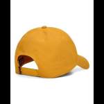 Simms Single Haul Cap, Amaretto Rainbow Trout