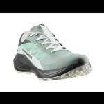 Salomon ALPHAGLIDE GTX W, Green M Asphalt-Clearly Aqua