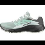 Salomon ALPHAGLIDE GTX W, Green M Asphalt-Clearly Aqua