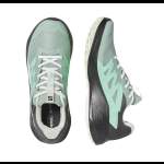 Salomon ALPHAGLIDE GTX W, Green M Asphalt-Clearly Aqua