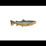 Pike КУМЖА БОЛЬШАЯ