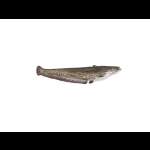 Pike СОМ