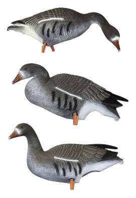 Купить Sport Plast DLX 940, белолобый Sport Plast DLX 940, белолобый