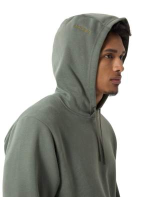 Толстовка Arcteryx EMBLEM FLEECE HOODY, Forage
