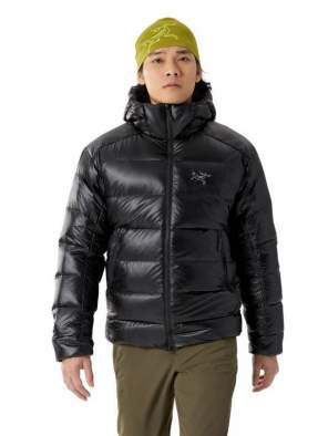 Arcteryx CERIUM SV HOODY MEN'S, Black
